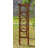 Lachezar 60.43'' W x 20.87'' D Solid Wood Arbor in Natural