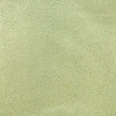 Duchess Fabric