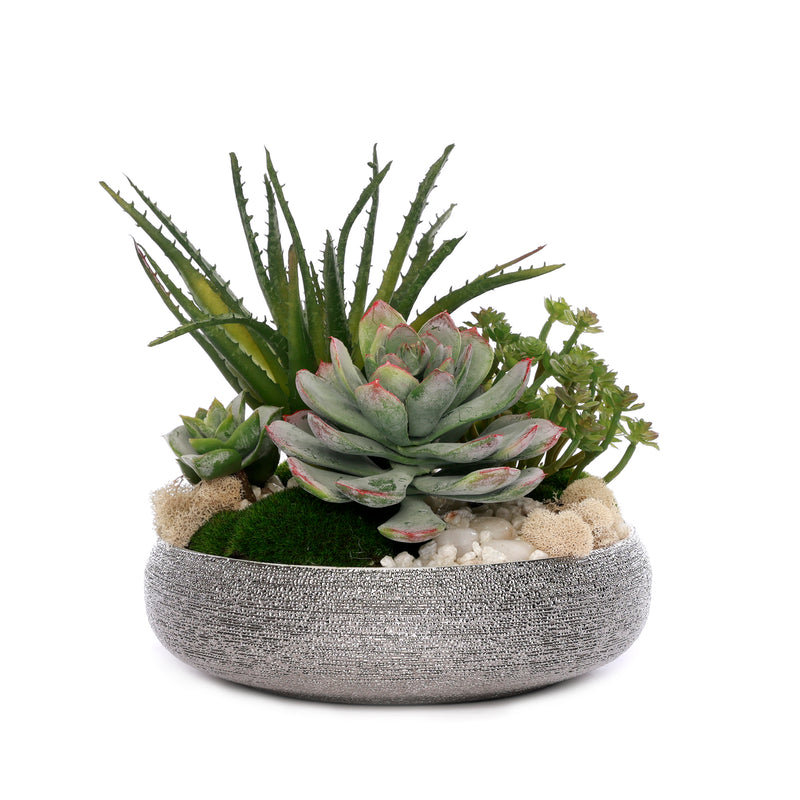 Succulent with Pebbles and Moss in Textured Silver Bowl
