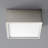 Pyxis Acrylic Flush Mount-19929019