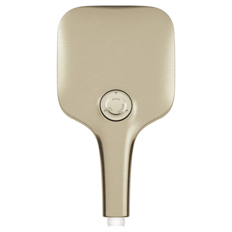 Rainshower™ Smartactive Handheld Shower Head, Brushed Nickel Infinity