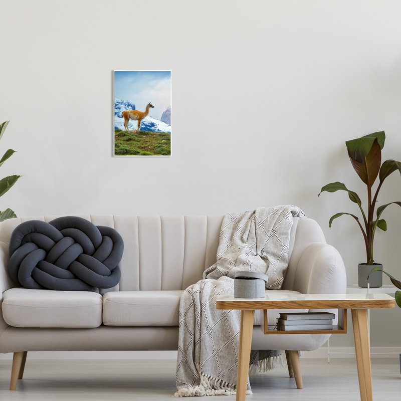 «Stupell Industries Wild Llama», reproduction d'art sur toile par Dennis Frates, H 15 po x l 10 po x P 0,5 po
