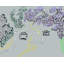 Jacaranda par Deborah Blum-1330448657
