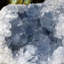 Cristal Radovinka