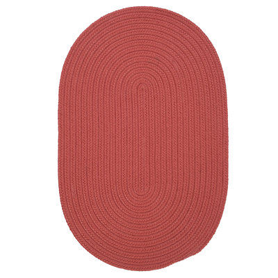 Abygale Indoor / Outdoor Rug
