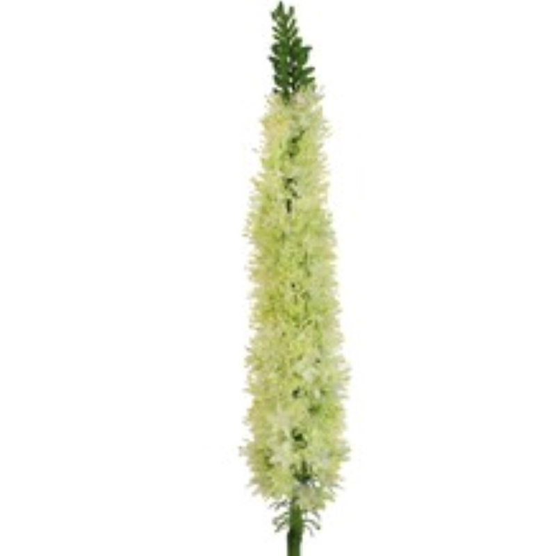 Arrangement de sonnette