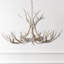 Lustre Rohrbach-1665339192-1665339194