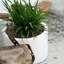 Handmade Pot Planter-1118135908-1118136207