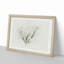 A Pink Cherry Blossom Tree in Abstract - Picture Frame Graphic Art Print-55629825-55629826