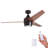Eamon 52'' Ceiling Fan with LED Lights and Remote Control-1409839407