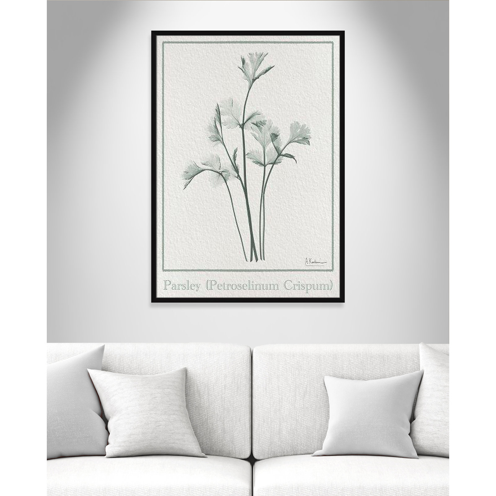 Jeanette "Parsley II" Print by Albert Koetsier, 41.5" H x 29.5" W x 1.25" D, Satin Black Framed Paper