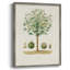 Arbre antique avec fruit, reproduction encadrée en bois massif-1941689862