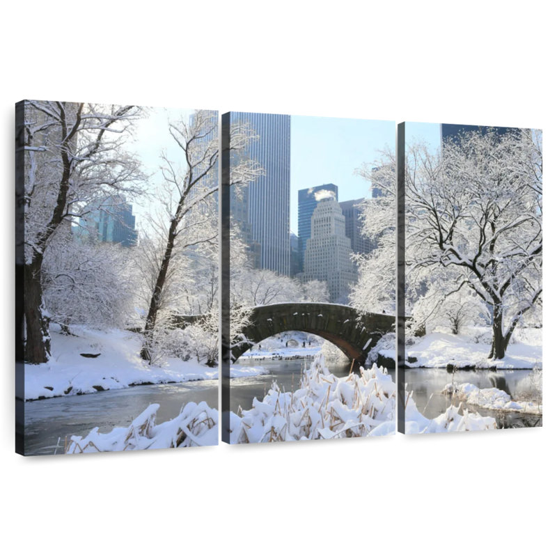 Sebbie Snowy Central Park, NY, H 20 po x l 33 po