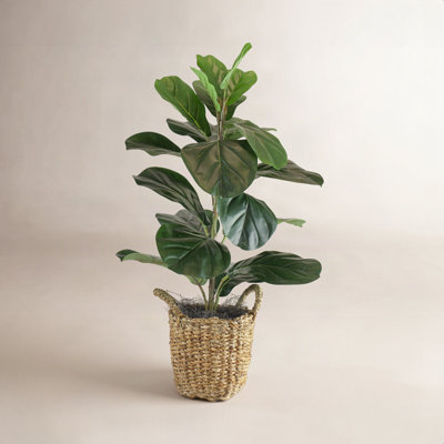 30 " H Faux Fiddle Leaf Fig Tree in Wicker/Rattan Basket