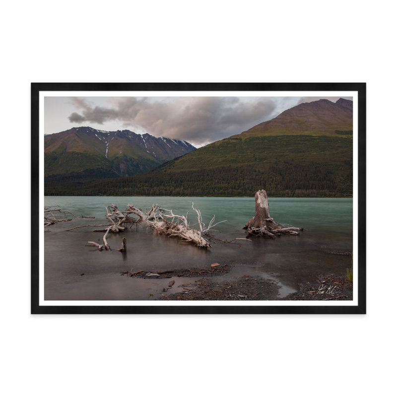 Bois flottant clair de lune II, Noir, H 35,5 po x l 54,75 po x P 1,5 po