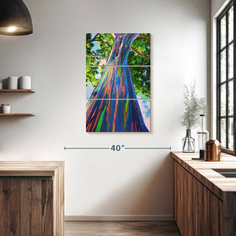 Eucalyptus Harnek Oahu Rainbow, H 38 po x l 24 po