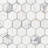 Hexagon Marble Mosaic Tile in White/Gray