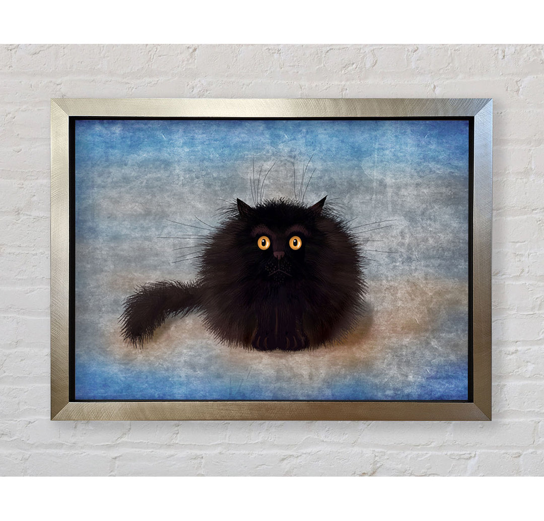 Black Fuzzy Cat - Einzelner Bilderrahmen Kunstdrucke