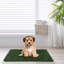 Ensemble de deux tapis d'urine pour animaux de compagnie réalistes en gazon artificiel pour les soins dans plusieurs zones intérieures telles que les appartements et les patios.