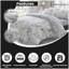 Birdie Blossom 144 TC Modern & Contemporary Duvet Cover Set-25362427-25362426
