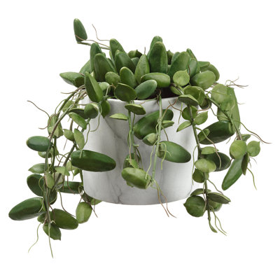 Plante artificielle Dischidia en pot imitation marbre, 18 cm H x 30 cm l x 33 cm P