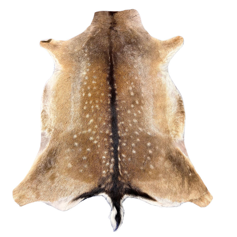 Real Fallow Deer Skin Rug