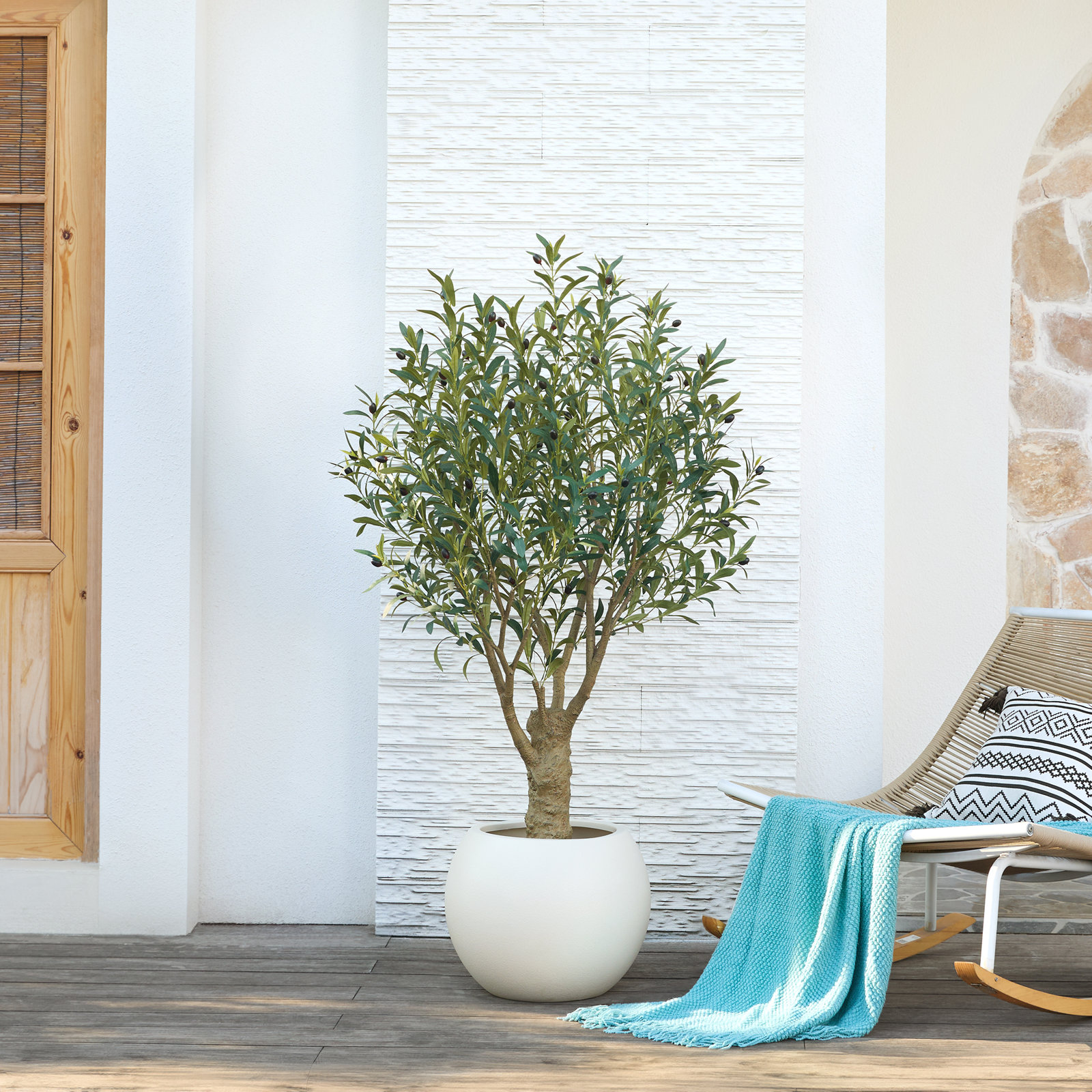 Aldis Olive Tree in Pot, 60" H x 36" W x 36" D