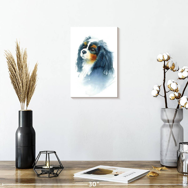 Brampt Cavalier King Charles, H 12 po x l 8 po