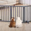 Liz Free Standing Pet Gate-1666448466