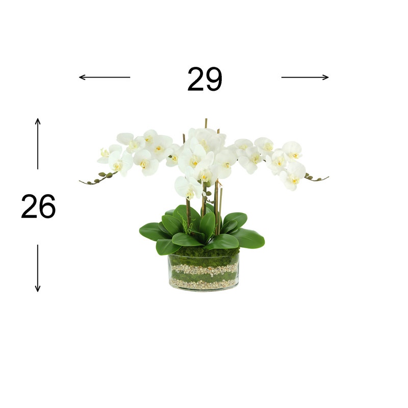 Orchids And Leaves Arranged In An Oblong Clear Glass With Moss And Rocks