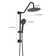 Rain Dual Shower Head 1.8 GPM GPM with Aerating