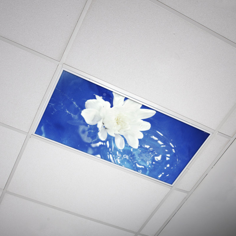 Couvre-lampes fluorescents pour salle de classe Flower - pour luminaire 2 x 4 - par Octo Lights