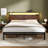 Antioch Bed Frame with LED Light and Charging Station, Metal Frame with Storage Headboard, Large Storage Space, No Spring Box Needed-109575521-93373532