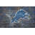 Detroit Lions