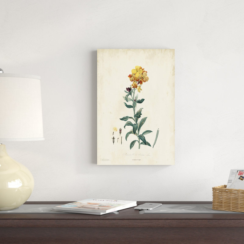 Traditionnel botanique III, H 18 po x l 12 po x P 1,25 po