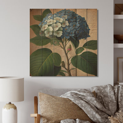" Blossoming Hydrangena In Retro Colors I " Color Photography Print