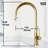 Bristol 19" H 1-handle Pull-Down 2-Function Sprayer Kitchen Faucet-100097141