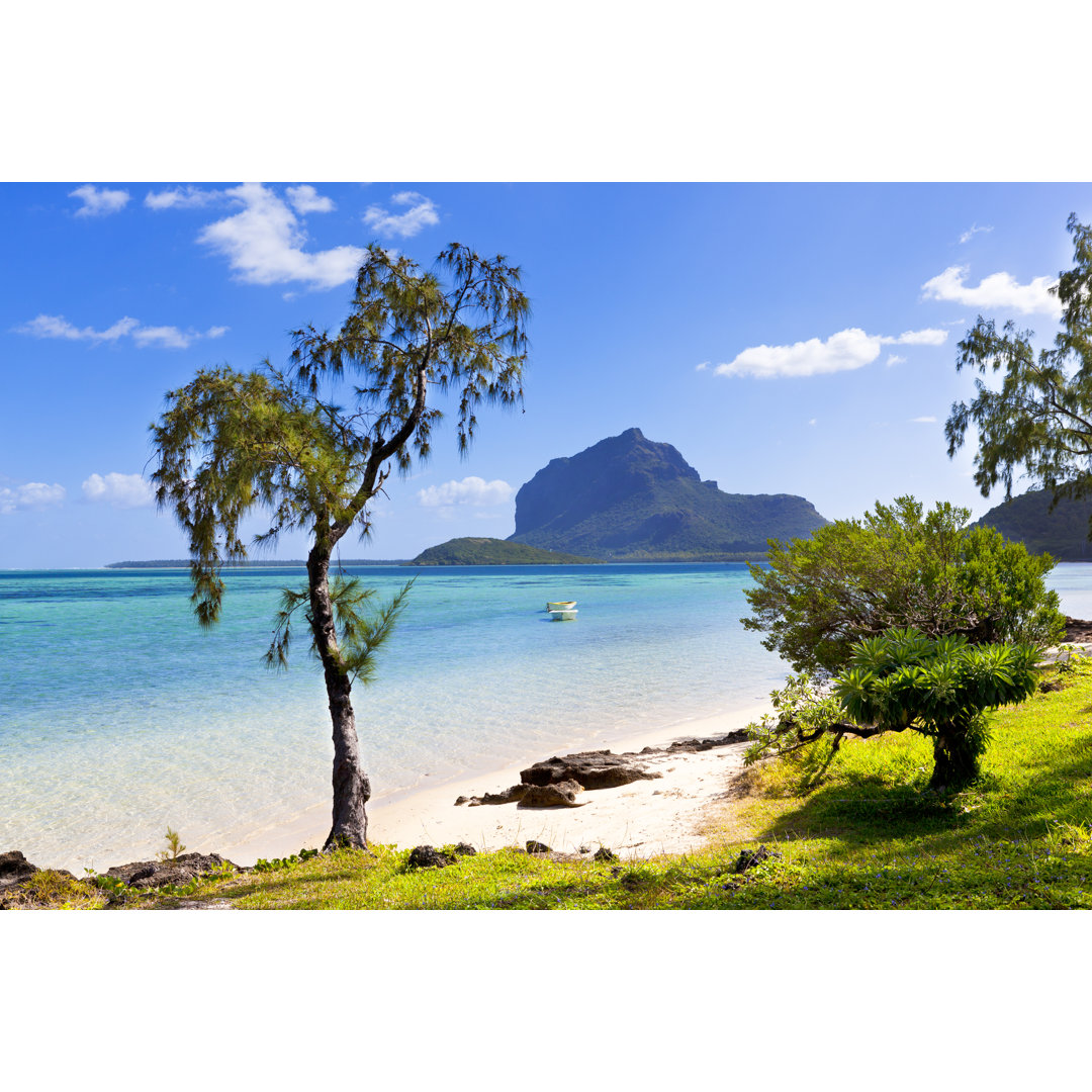 Einsamer Strand von - Leinwandbild