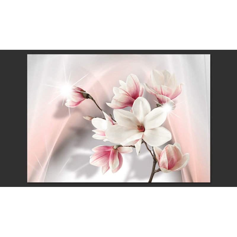 White Magnolias 2.45m x 350cm Wallpaper, 350 cm x 245 cm