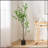 150CM ARTIFICIAL DISC LEAF TREE-363329149