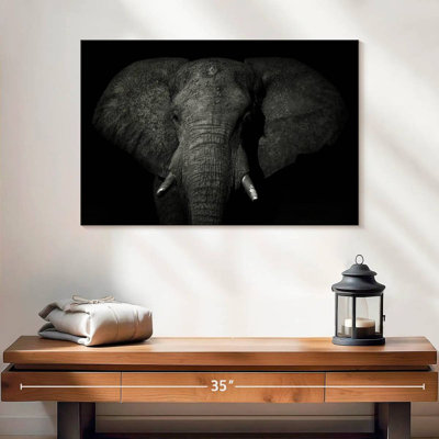 Éléphant monochrome