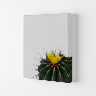 Flower Cactus - Print
