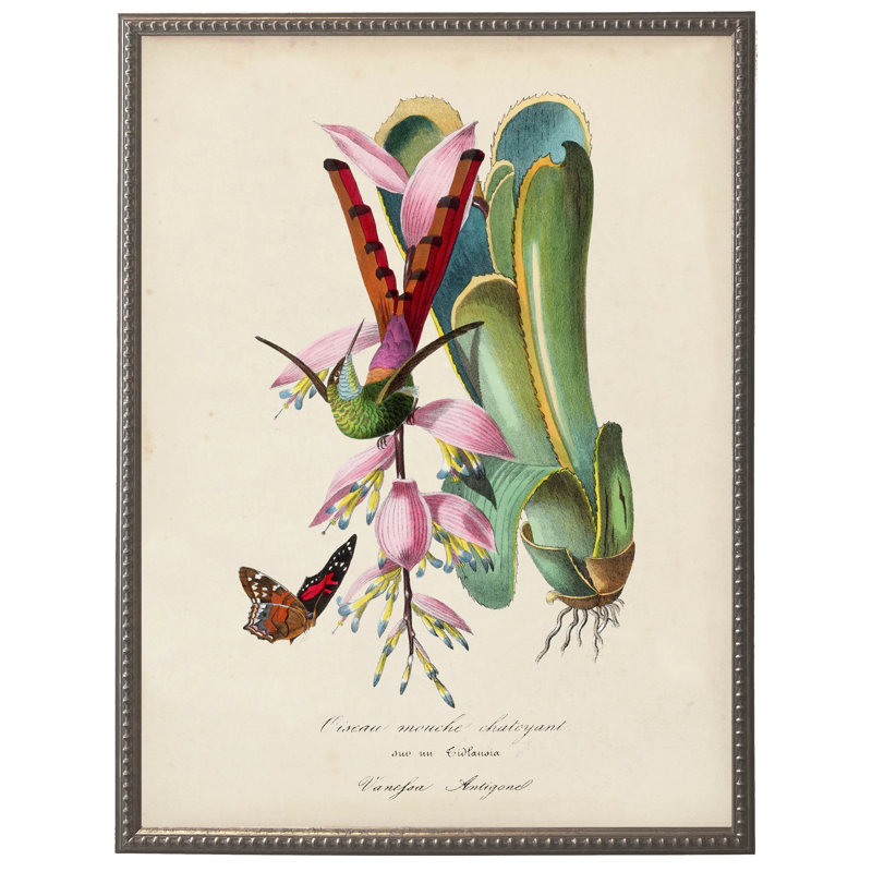 Colibri rétro et impression de fleurs sur un fond vieilli dans un cadre en étain perlé mesurant 16 x 20