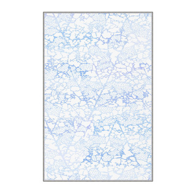 Premium 3D Printed Carpet, 4.6 x 7.2 Feet, 100% Polyester, 0.3 Inches Pile Height | Antibacterial, Non-Slip Underside, Machine Washable | Perfect for Living Room, Bedroom, and Kids' Play Areas, Durable & Stylish