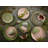 NATURE COLLECTION 16 Piece Dinnerware Set, Service for 4