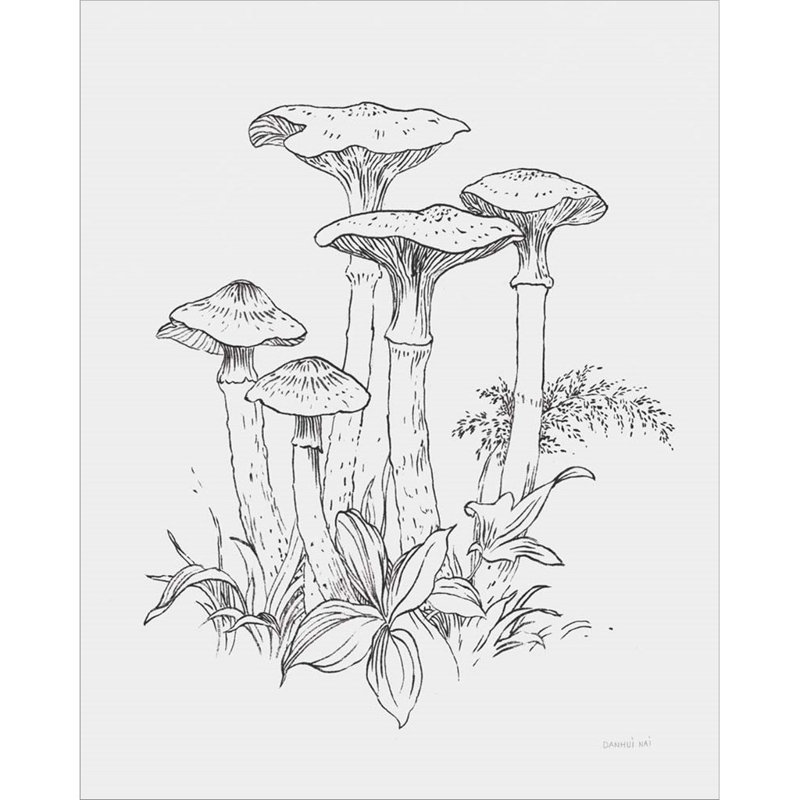 Natures, croquis «I Bold Light Grey» par Danhui Nai, impression sur toile tendue