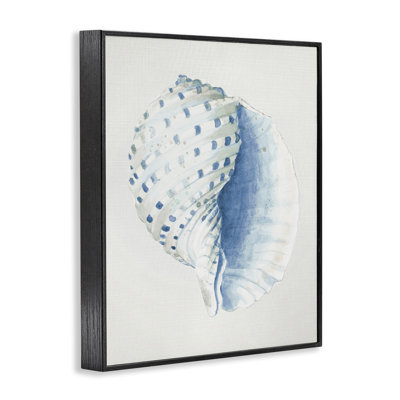 Giclée de conque tachetée par Patricia Pinto