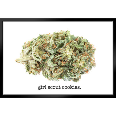 " Girl Scout Cookies Strain Labelled "