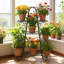 Anterrio Plant Stand
