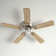 Brandee 42'' Ceiling Fan with Light Kit